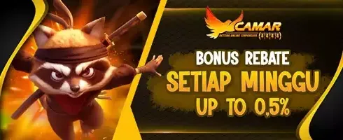 Cashback Mingguan Hingga 0.5% Setiap Hari banner